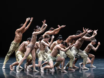 Picture of São Paulo Dance Company