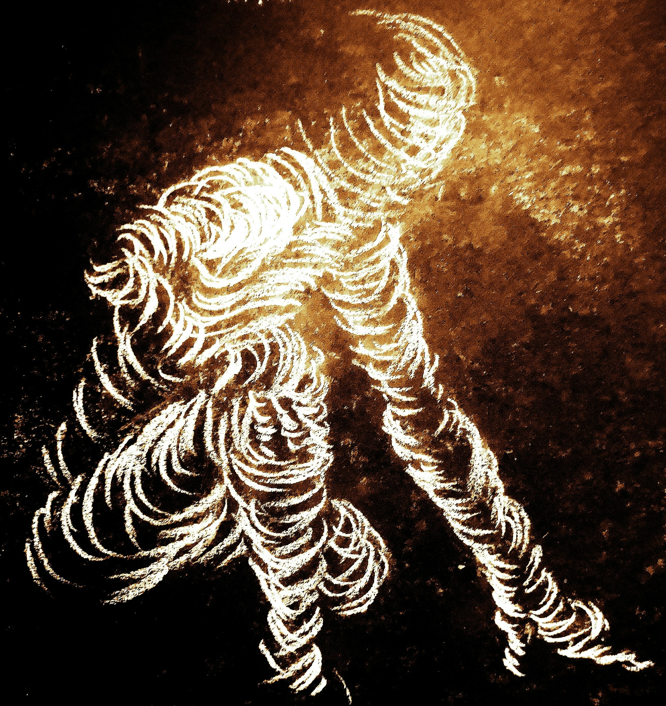 Electric Trifle tour dates & tickets 2025 Ents24