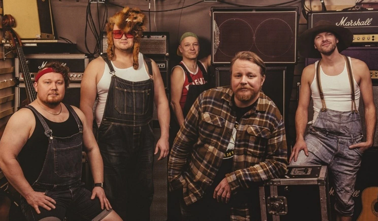 Steve'n'Seagulls
