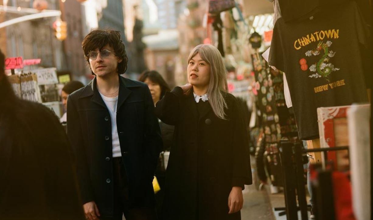 Chinese American Bear