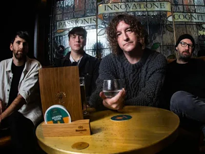Picture of The Pigeon Detectives