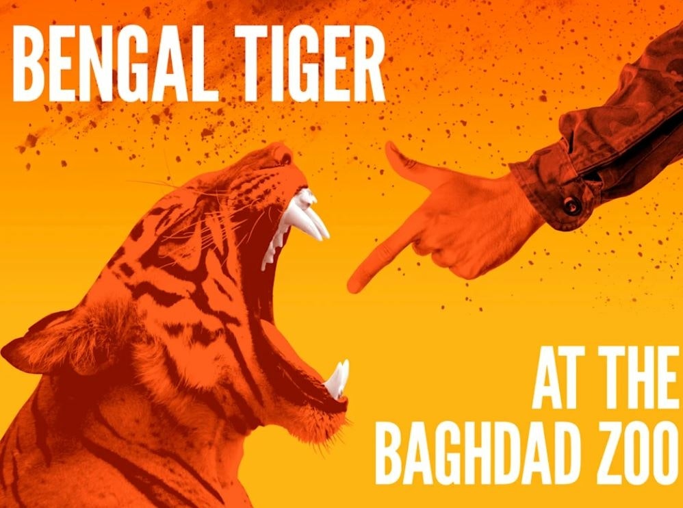 Bengal Tiger at the Baghdad Zoo