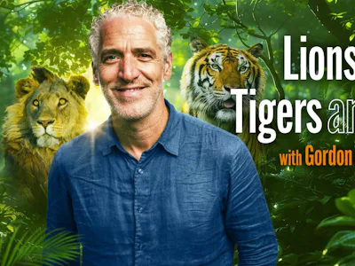 Picture of Gordon Buchanan: Lions and Tigers and Bears
