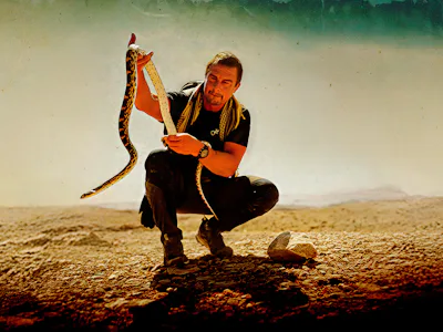 Picture of Bear Grylls - Never Give Up