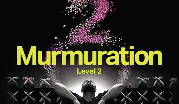 Murmuration Level 2