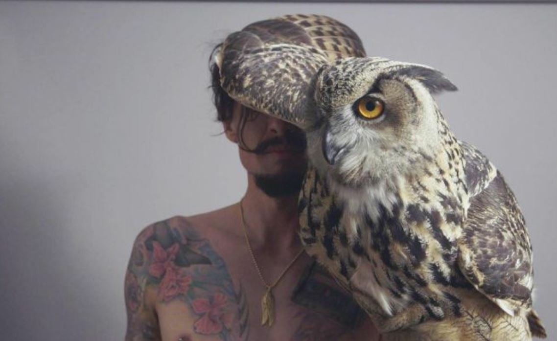 Justin Hawkins Rides Again... Again