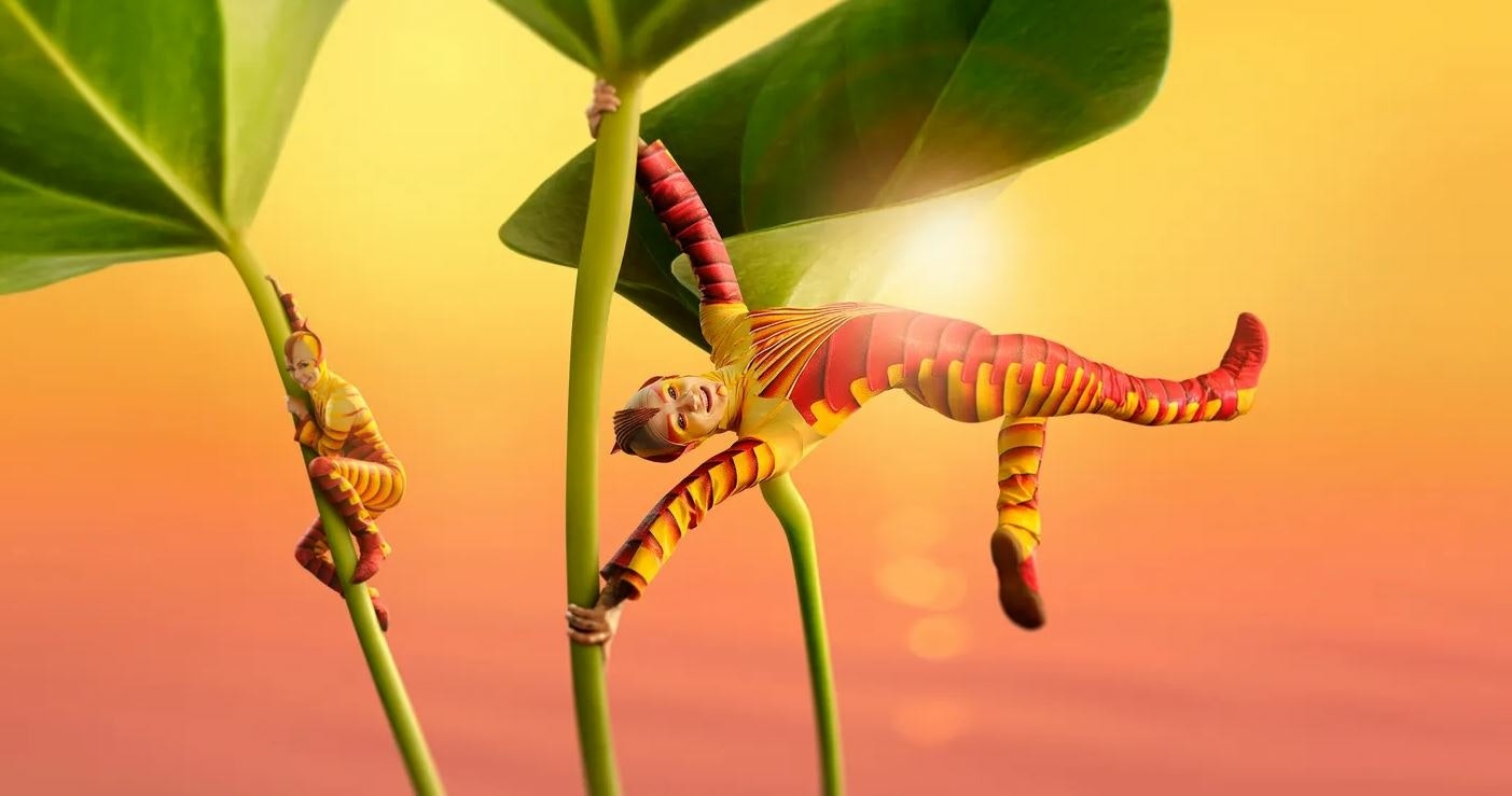 Cirque du Soleil presents OVO