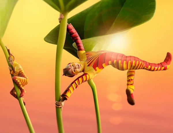 Cirque du Soleil presents OVO