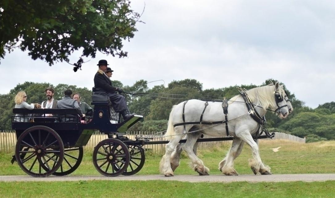Winter Rides In Richmond Park