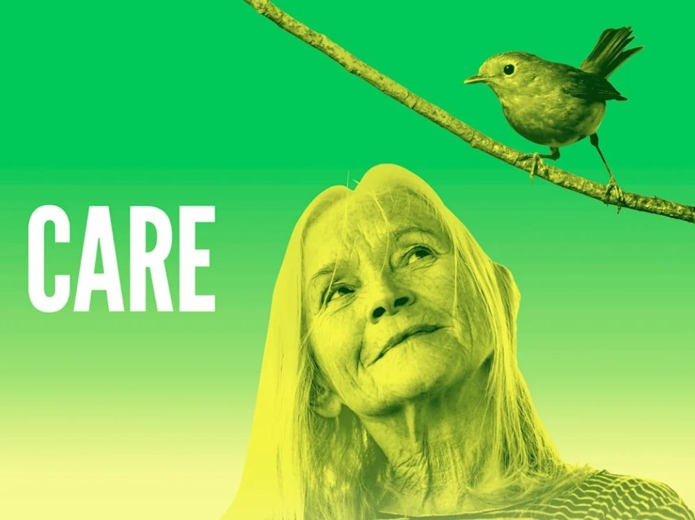 Picture of CARE
