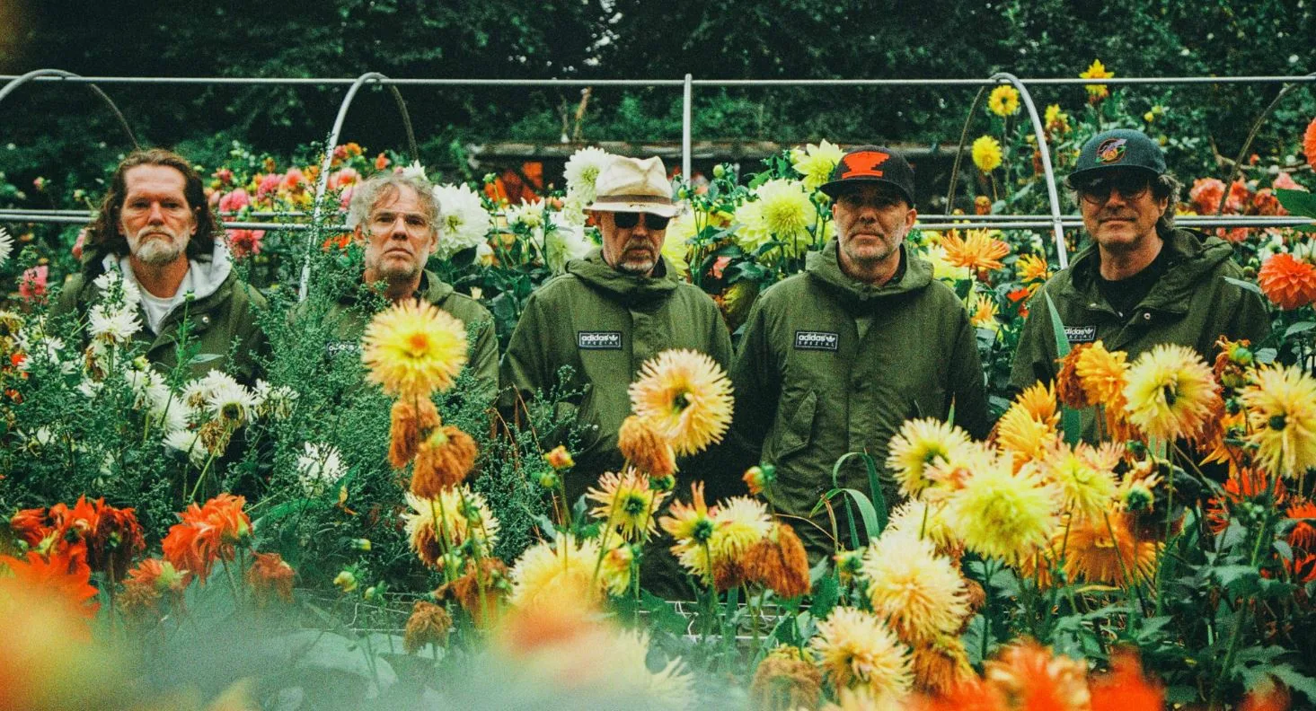 Picture of Super Furry Animals