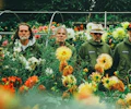 Super Furry Animals appearing at this event