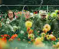 Super Furry Animals appearing at this event