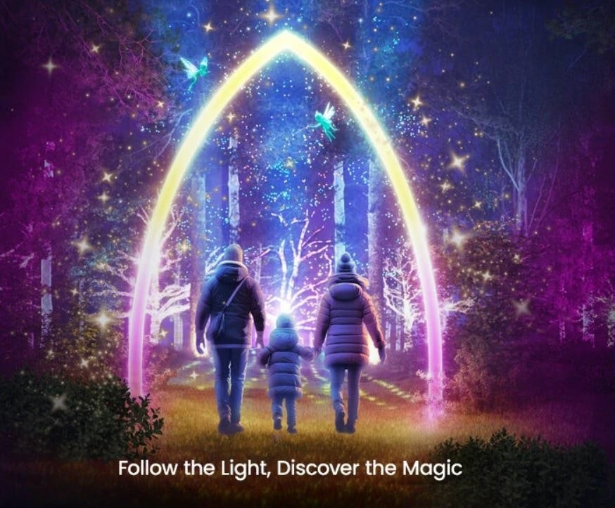 Windsor Great Park Illuminated