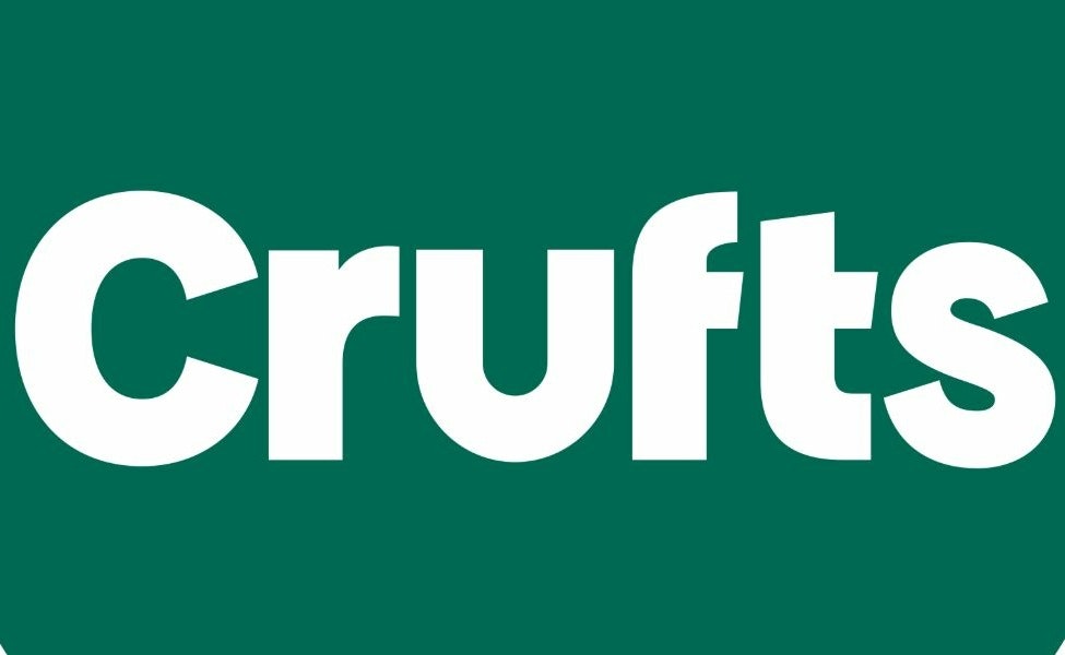 Crufts 2026 - Terrier & Hound