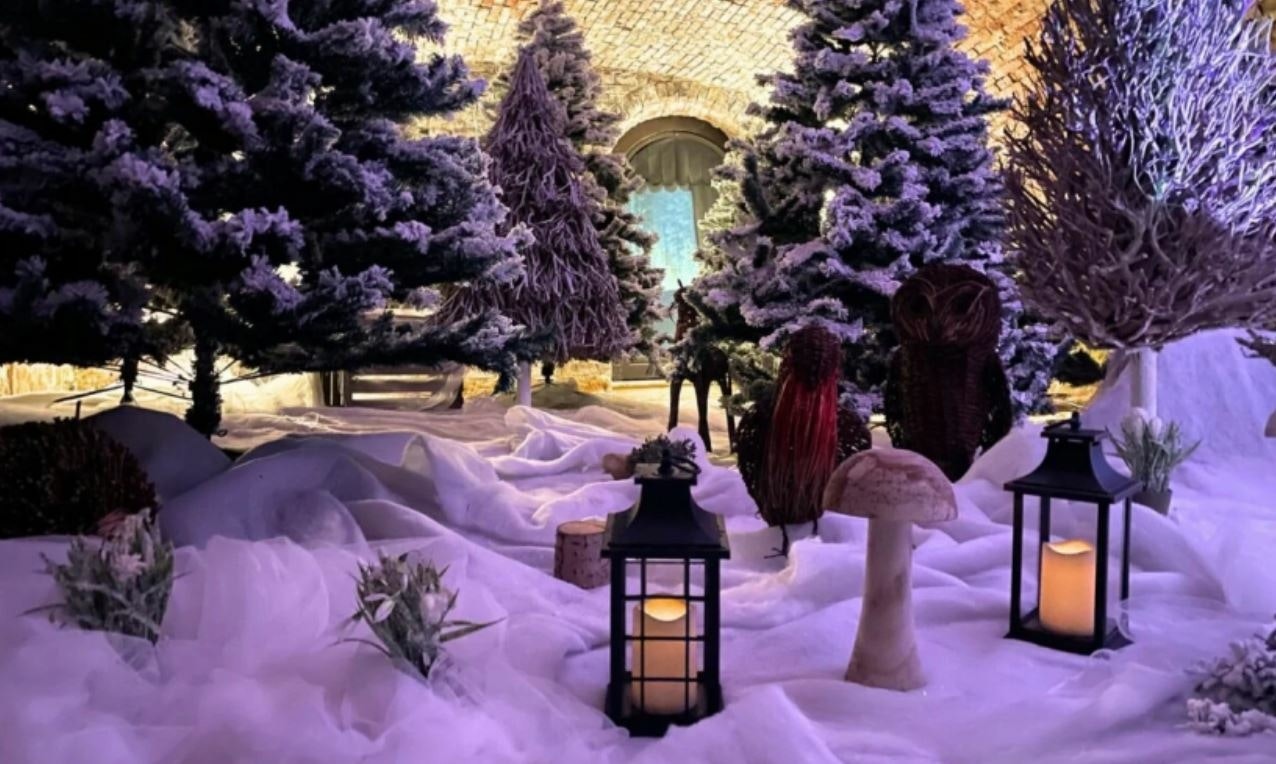 Winter Woodland Santa's Grotto