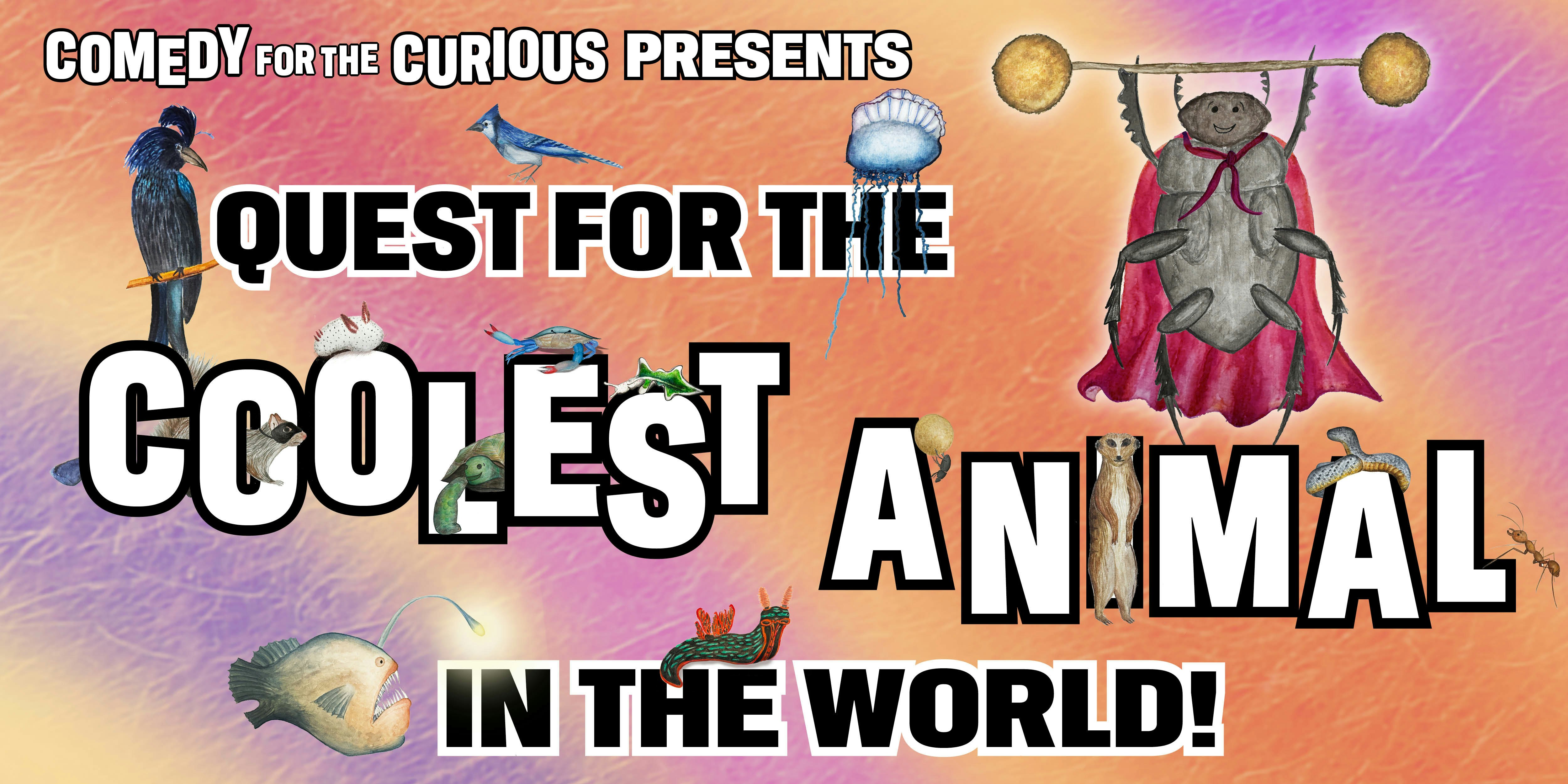 The Quest For The Coolest Animal In The World!