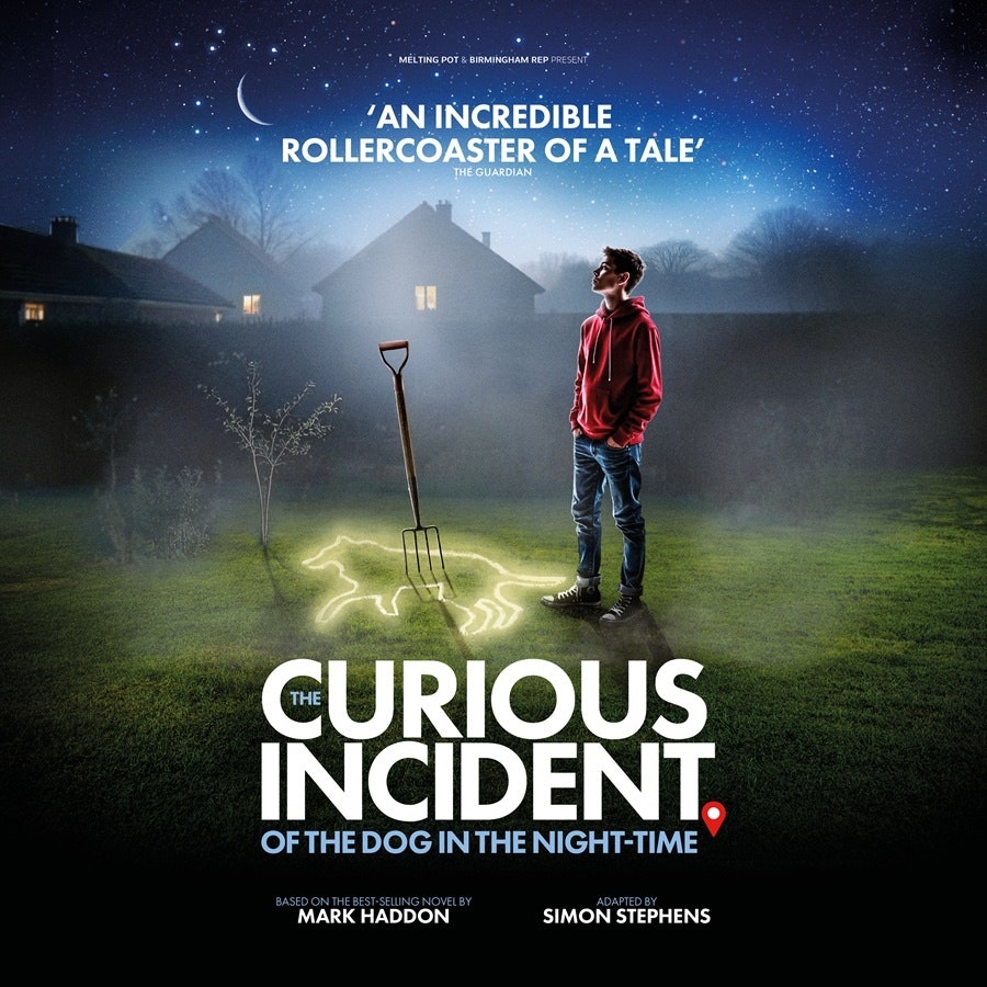 The Curious Incident Of The Dog In The...