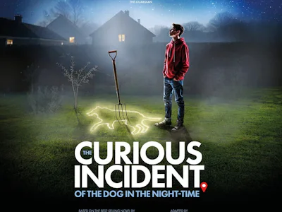 Picture of The Curious Incident Of The Dog In The Night-Time