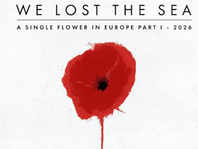 Picture of We Lost the Sea