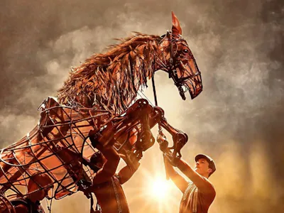Picture of War Horse