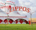 Zippos Circus appearing at this event