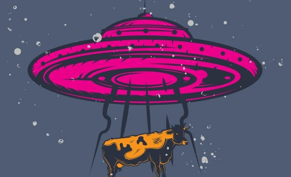 4D: Dive's Fourth Birthday - The Launch Party