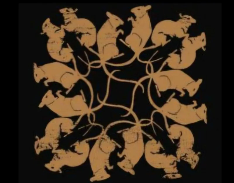 Picture of Rat Fest 2026