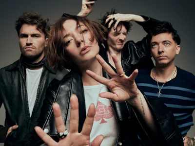 Picture of Marmozets