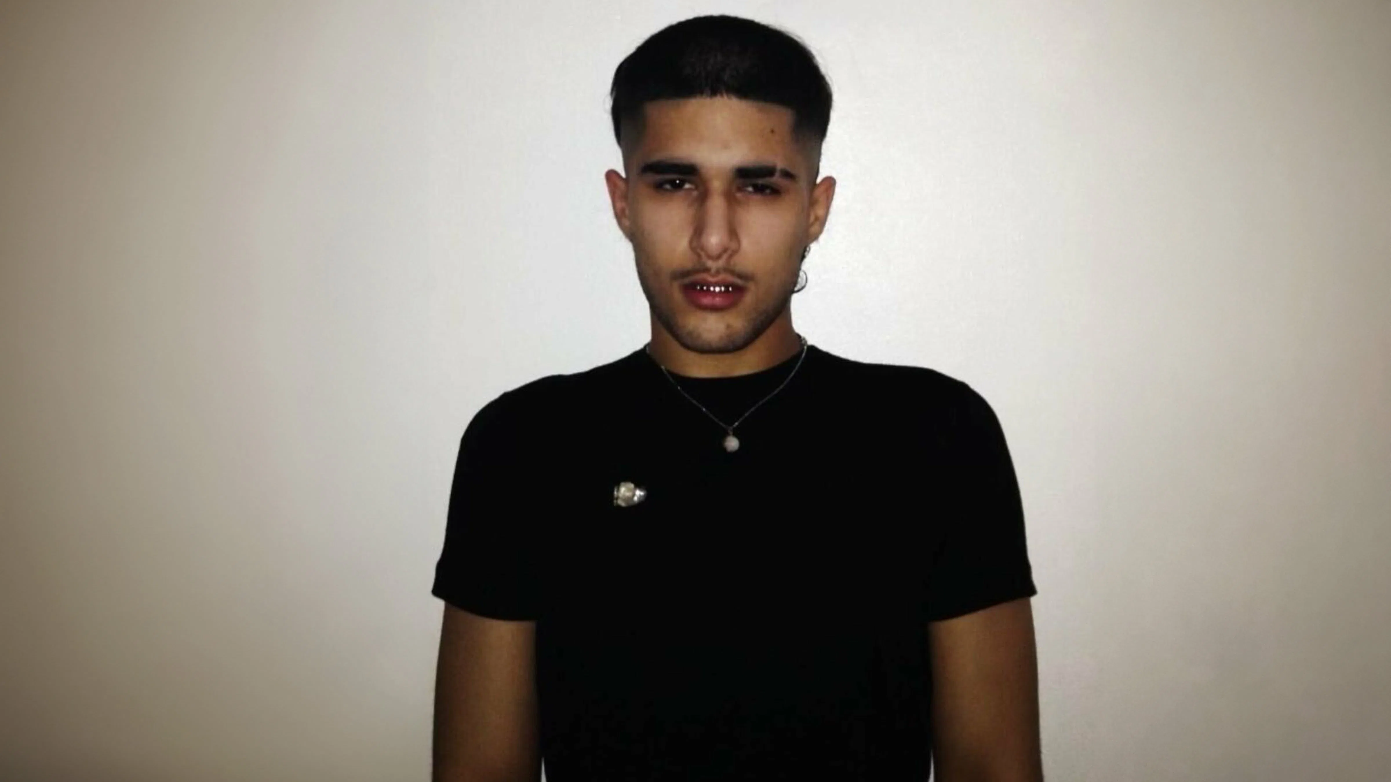 Picture of fakemink