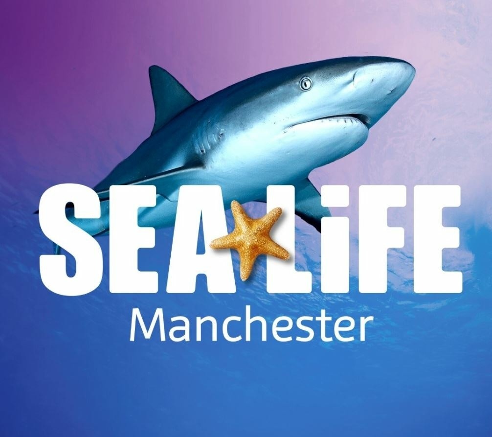 Picture of SEA LIFE Manchester