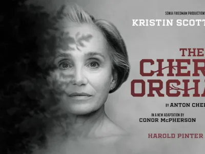Picture of The Cherry Orchard