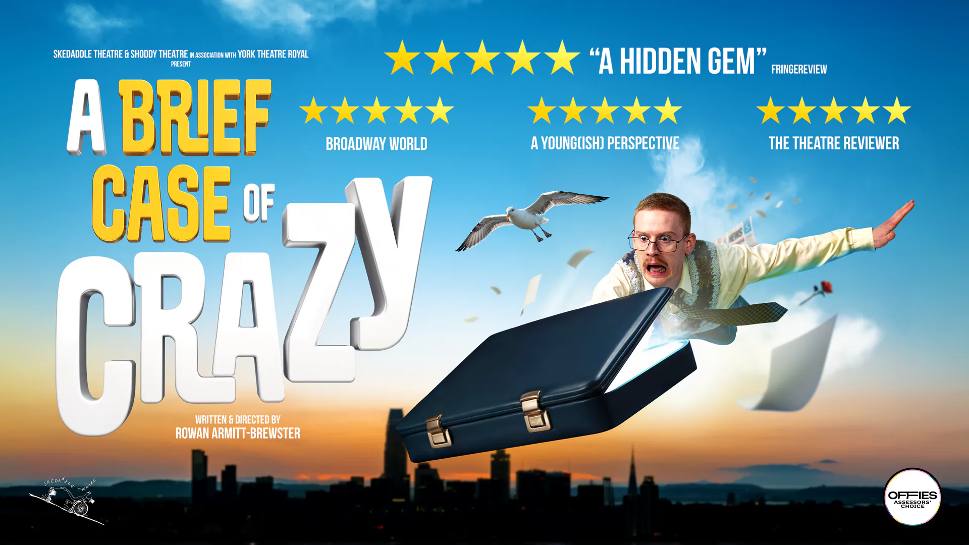 Picture of A Brief Case of Crazy