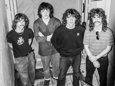 Picture of The Gnomes