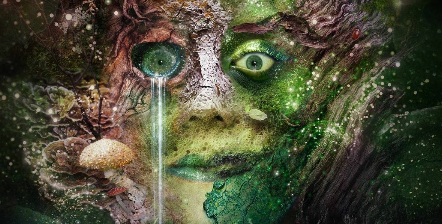 Bryony Kimmings: Bog Witch