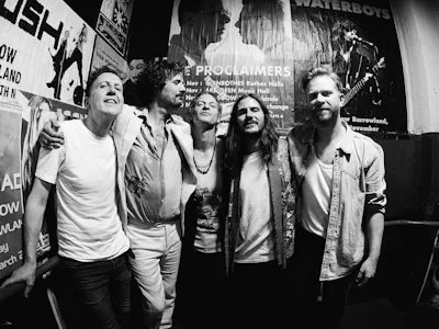Picture of The Temperance Movement