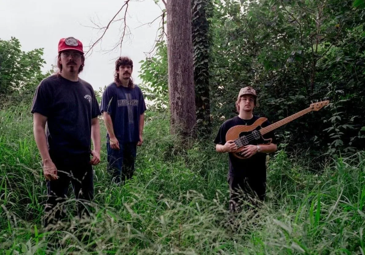 Picture of Shallowater