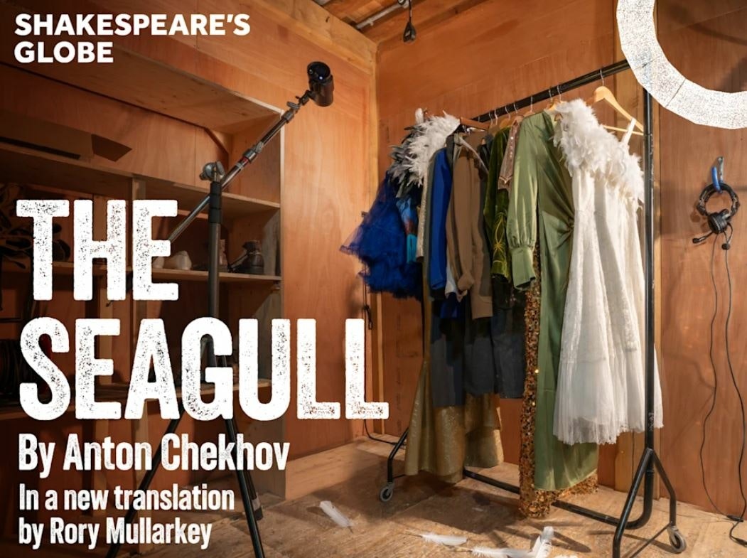 Picture of The Seagull