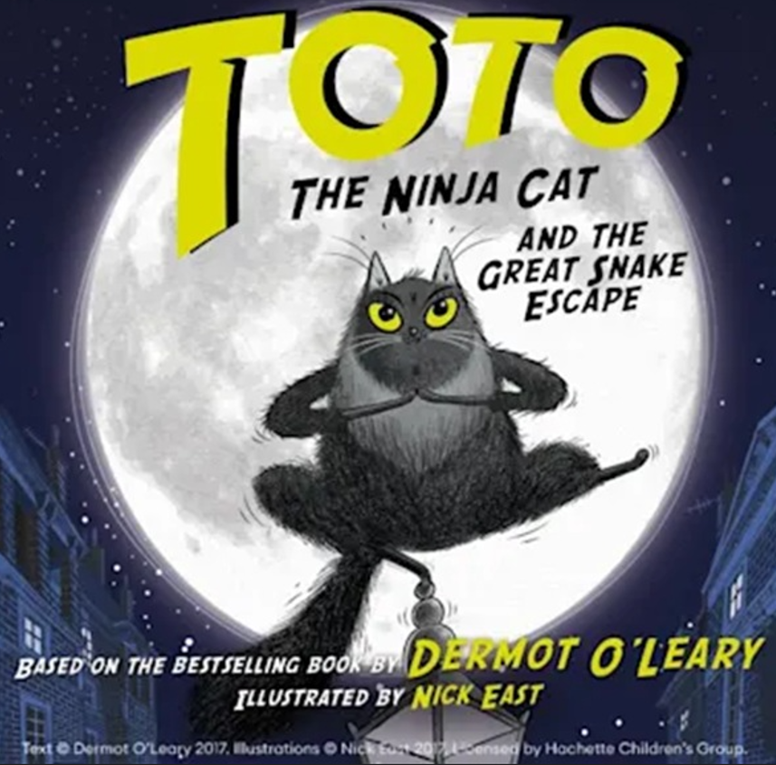 Toto The Ninja Cat