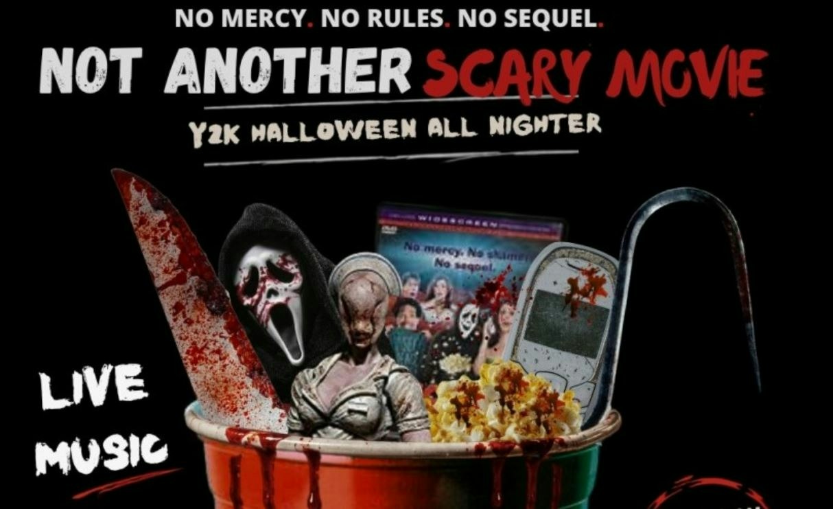 Picture of Not Another Scary Movie