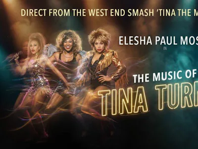 Picture of The Music of Tina Turner