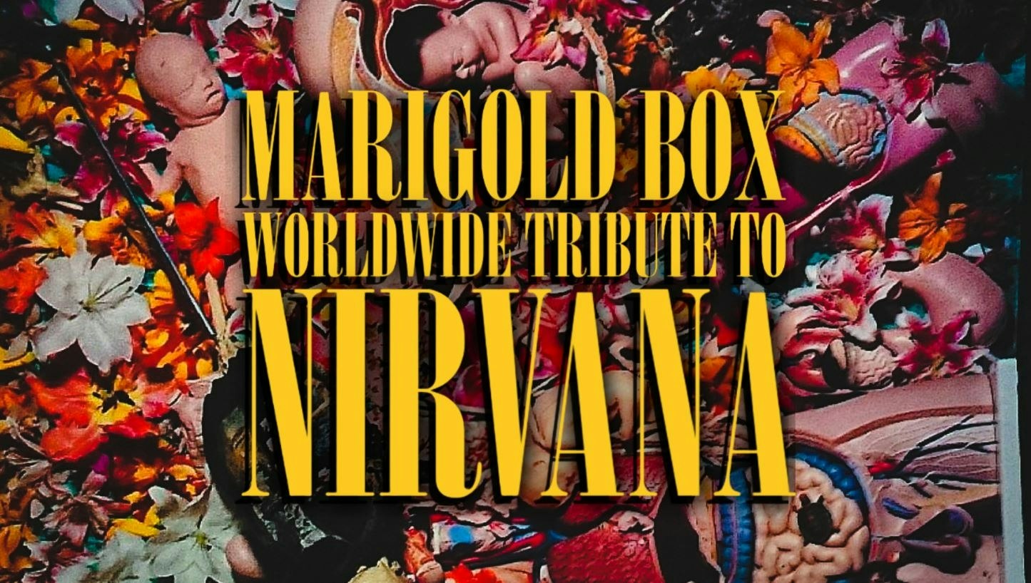 Picture of Marigold Box - European Tribute to Nirvana