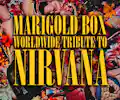 Marigold Box - European Tribute to Nirvana appearing at this event