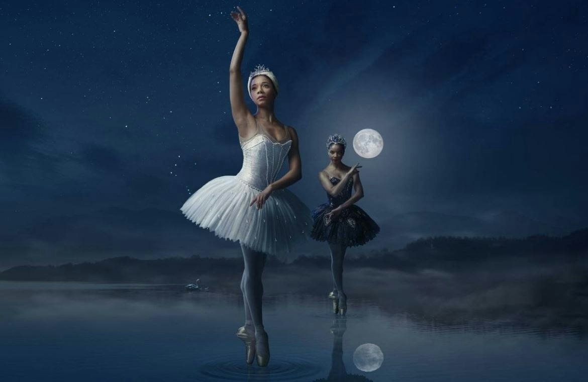 Picture of Swan Lake