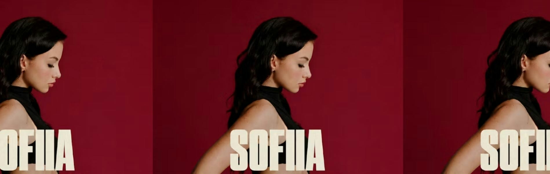 Picture of SOFIIA