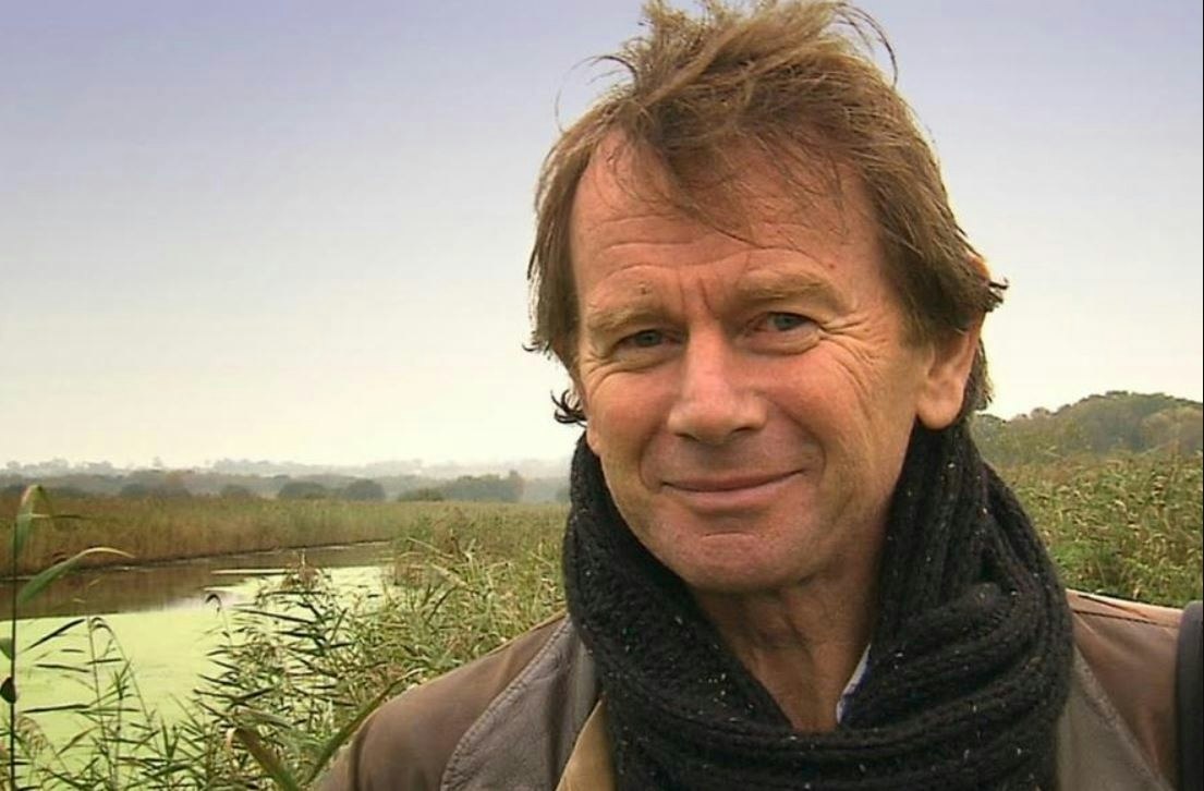 Picture of Michael Wood - Athelstan: England's First King