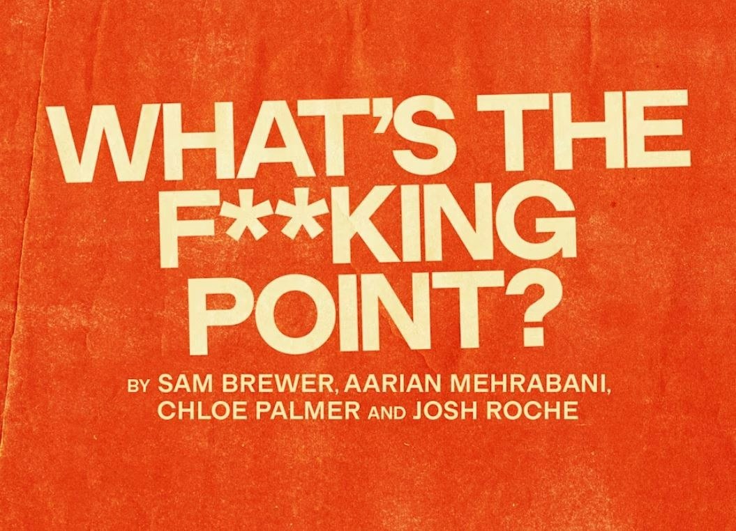 Picture of What's The F**king Point?