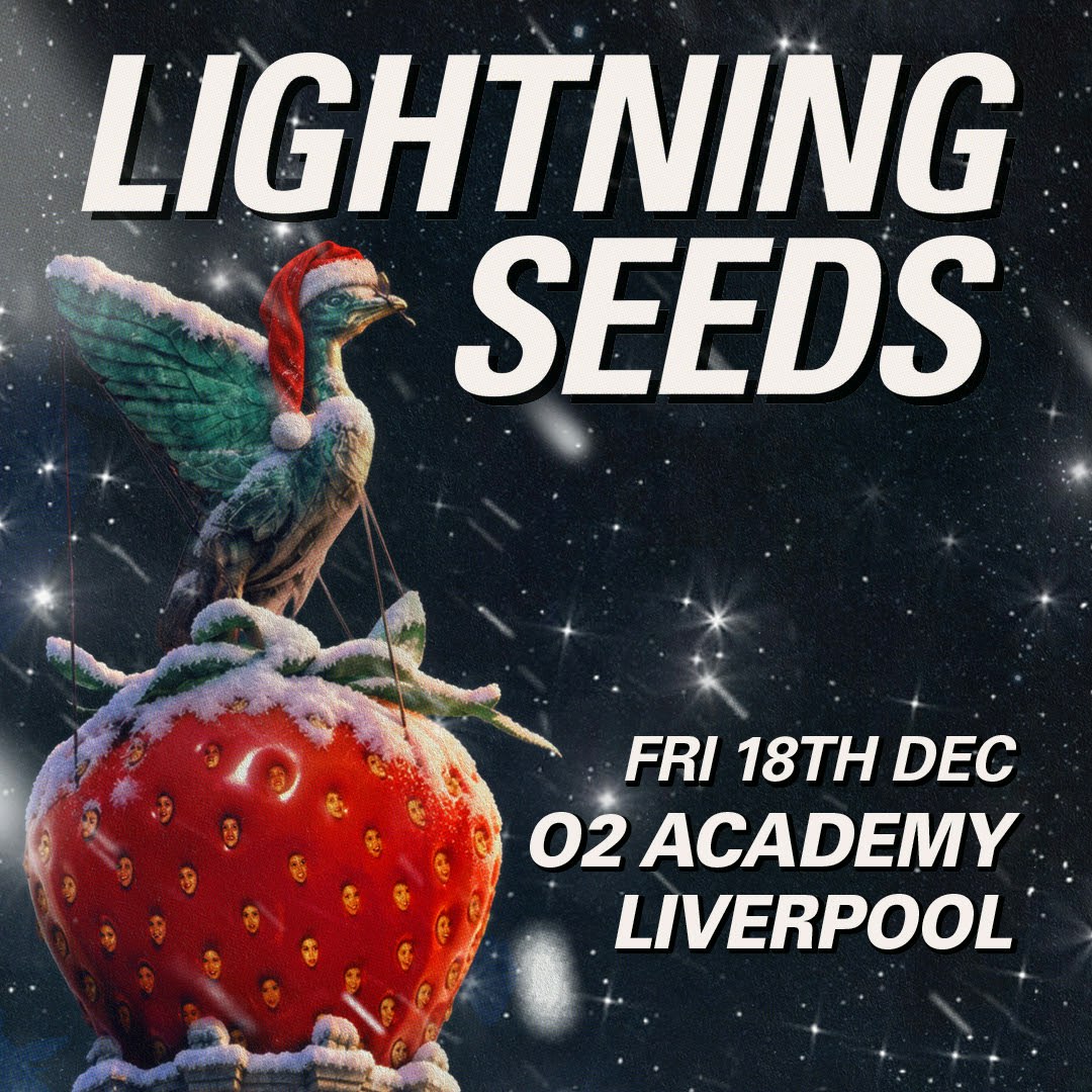 Lightning Seeds Hometown Christmas Show