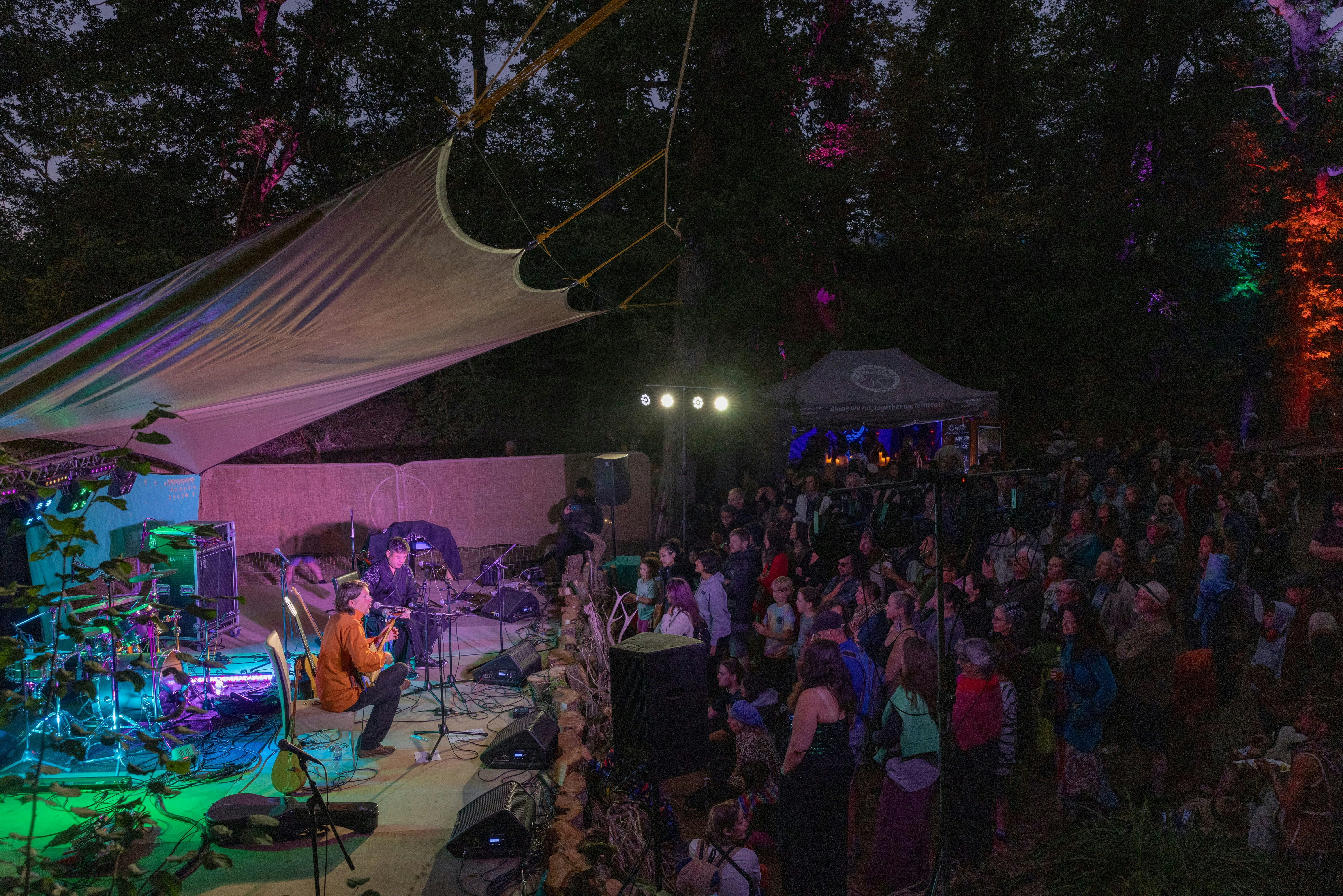Into The Wild Festival