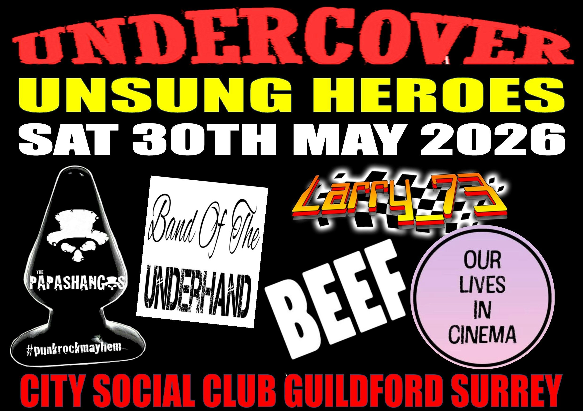 Picture of Undercover Alternative Unsung Heroes #3